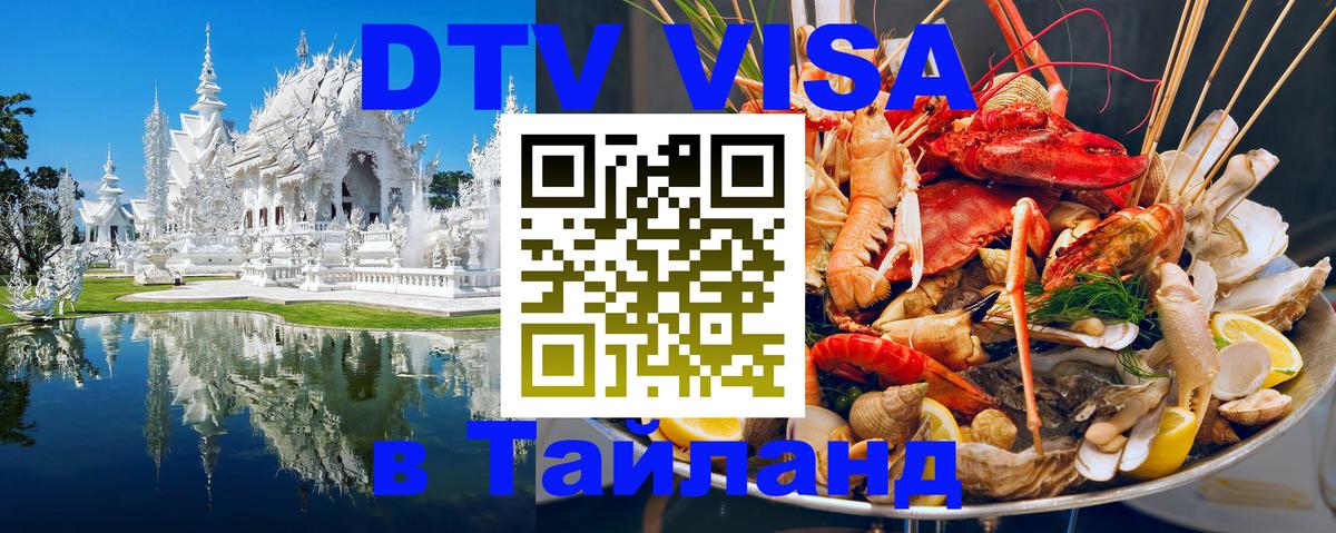 Оформление DTV визы под ключ: стоимость и тарифы, только загранпаспорт - 